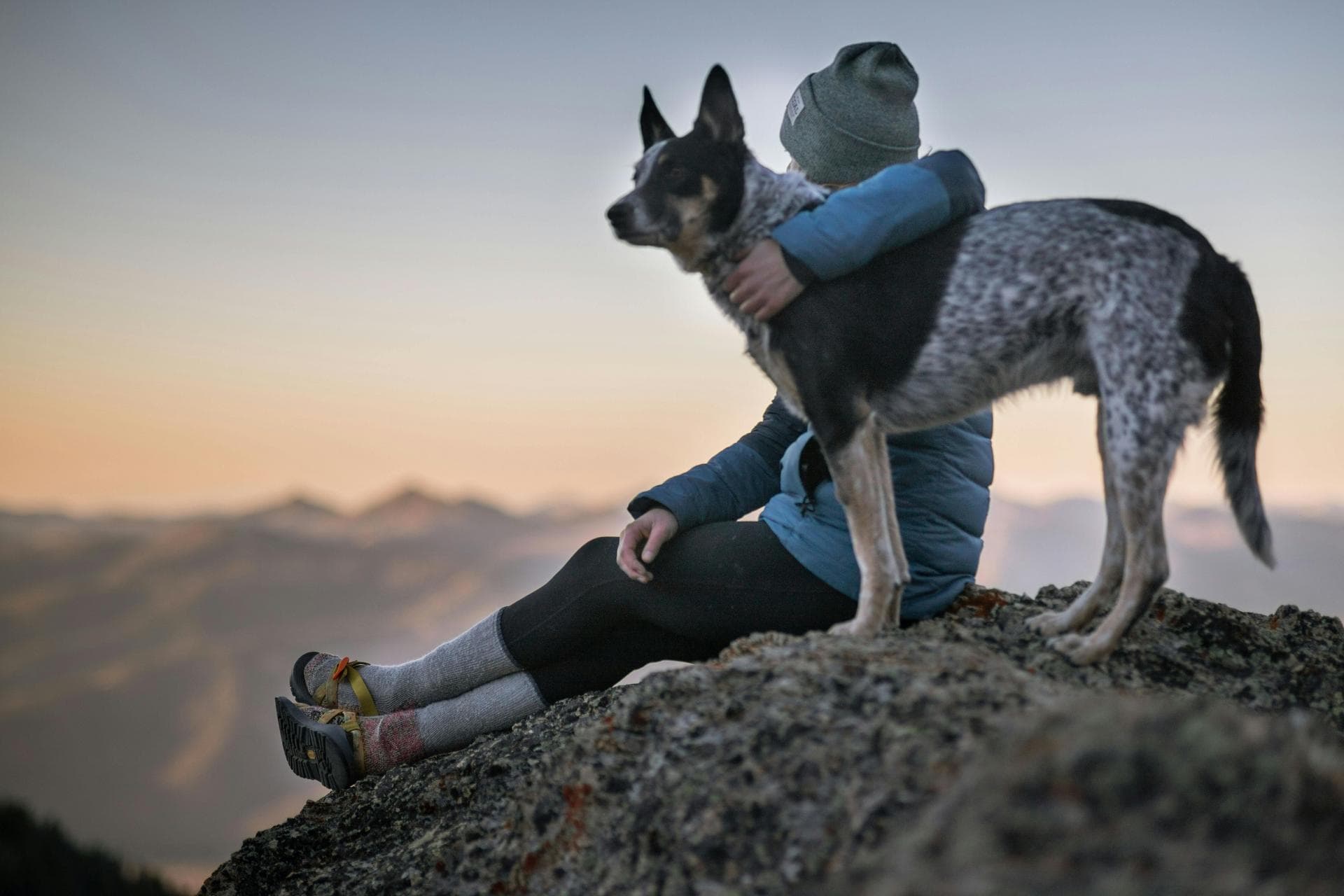 Dog & Cat Vets in Washington
